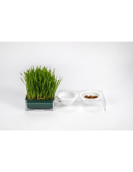 iPLEX Design - I-Pet Porta Ciotole Piccolo Bianco in plexiglass - Trasparente/ bianco - 41x6,5x14 cm