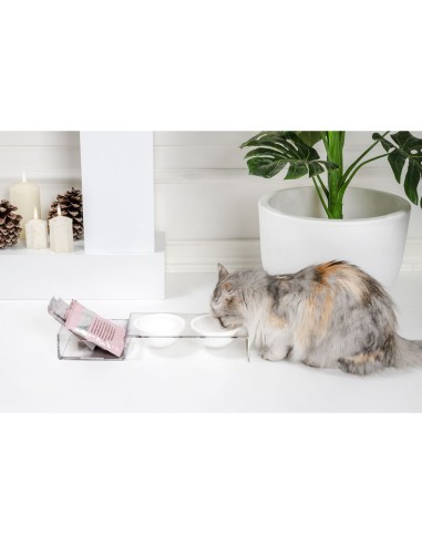 iPLEX Design - I-Pet Porta Ciotole Piccolo Bianco in plexiglass - Trasparente/ bianco - 41x6,5x14 cm