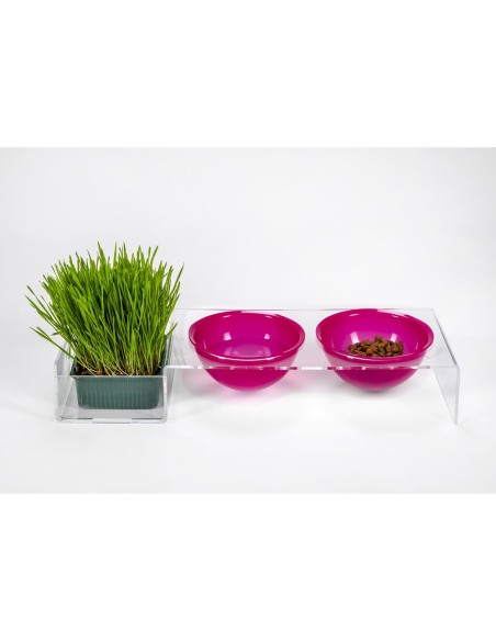 iPLEX Design - I-Pet Porta Ciotole Grande Fuxia in plexiglass - Trasparente/ fuxia - 52x9x19 cm