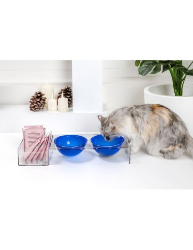 iPLEX Design - I-Pet Porta Ciotole Grande Blu in plexiglass - Trasparente/ blu - 52x9x19 cm