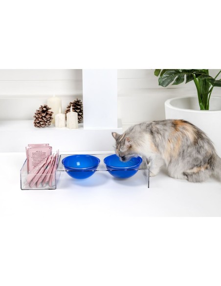 iPLEX Design - I-Pet Porta Ciotole Grande Blu in plexiglass - Trasparente/ blu - 52x9x19 cm