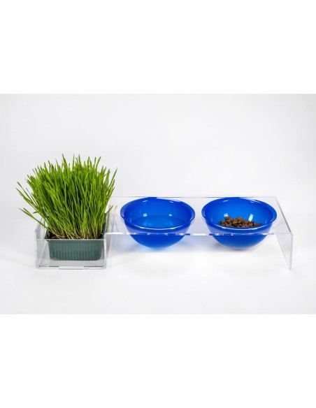 iPLEX Design - I-Pet Porta Ciotole Grande Blu in plexiglass - Trasparente/ blu - 52x9x19 cm