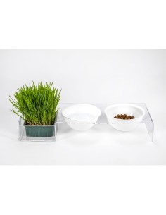 iPLEX Design - I-Pet Porta Ciotole Grande Bianco in plexiglass - Trasparente/ bianco - 52x9x19 cm 2