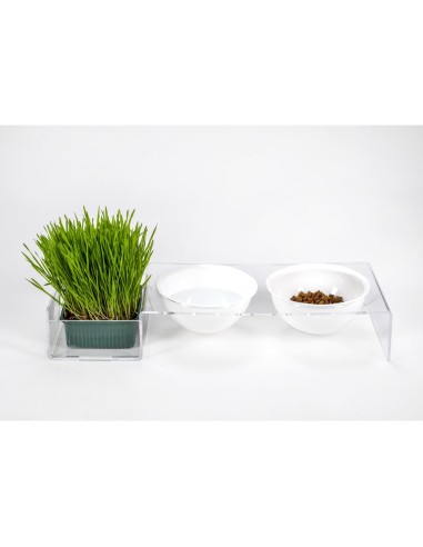 iPLEX Design - I-Pet Porta Ciotole Grande Bianco in plexiglass - Trasparente/ bianco - 52x9x19 cm