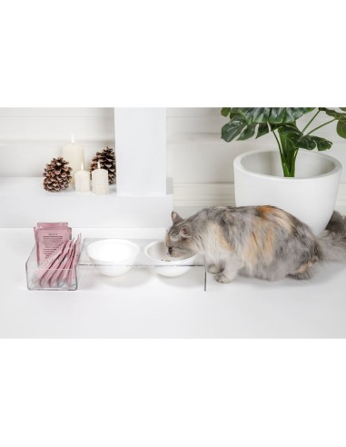iPLEX Design - I-Pet Porta Ciotole Grande Bianco in plexiglass - Trasparente/ bianco - 52x9x19 cm