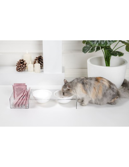 iPLEX Design - I-Pet Porta Ciotole Grande Bianco in plexiglass - Trasparente/ bianco - 52x9x19 cm
