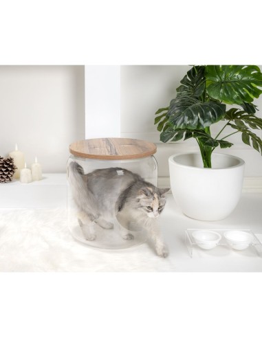 iPLEX Design - I-Pet Cuccia Sit Rovere in plexiglass/ legno - Trasparente/rovere - 40x46x40 cm