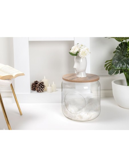 iPLEX Design - I-Pet Cuccia Sit Rovere in plexiglass/ legno - Trasparente/rovere - 40x46x40 cm