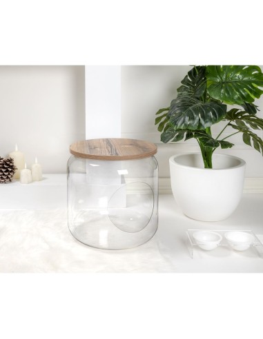 iPLEX Design - I-Pet Cuccia Sit Rovere in plexiglass/ legno - Trasparente/rovere - 40x46x40 cm