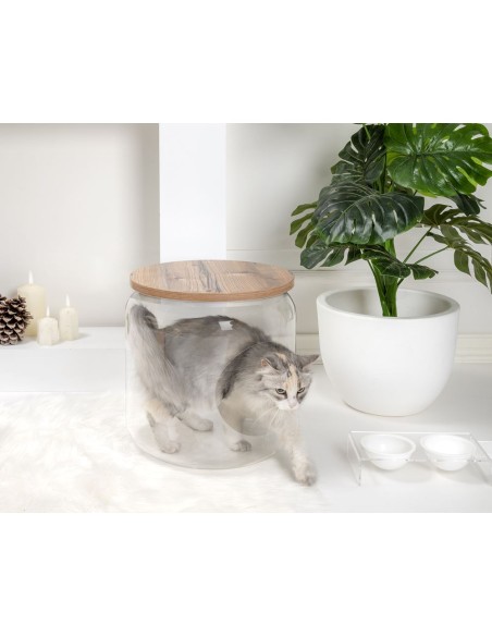 iPLEX Design - I-Pet Cuccia Sit Rovere in plexiglass/ legno - Trasparente/rovere - 40x46x40 cm