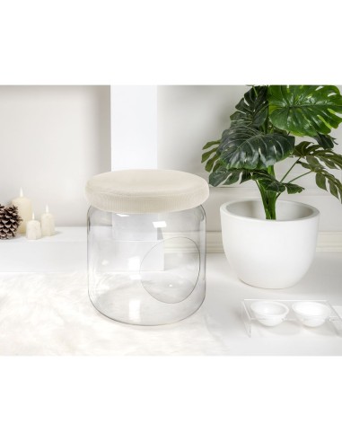 iPLEX Design - I-Pet Cuccia Sit Beige in plexiglass/ tessuto - Trasparente/ beige - 40x46x40 cm