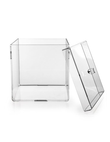 iPLEX Design - Haku Big Trasparente in plexiglass - 26x28x26 cm