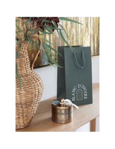 Blanc D' Ivoire - Candela profumata - Cedro Selvatico - Modello piccolo - 600 g 2