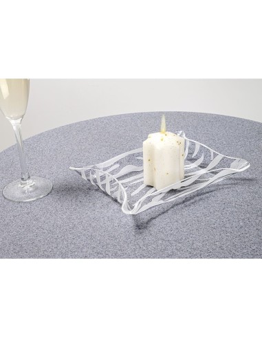 iPLEX Design - Drappeggi Vuotatasche Rettangolare Animalier in plexiglass - Trasparente - 20x3,5x15 cm