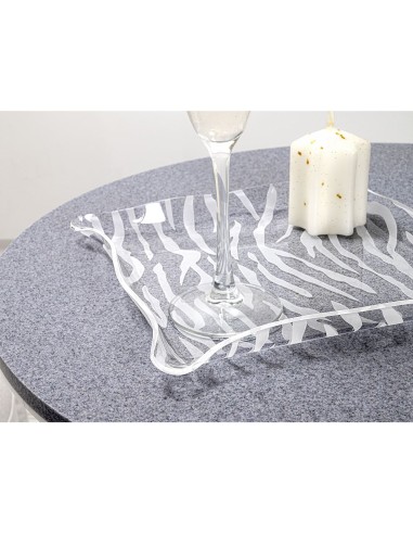 iPLEX Design - Drappeggi Vuotatasche Quadrato Animalier in plexiglass - Trasparente - 23x3x23 cm