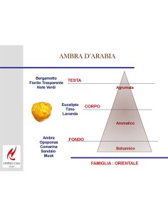 DIFFUSORE 100 ML ECO CHIC AMBRA D'ARABIA 2