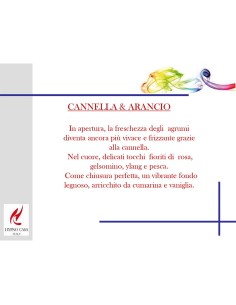 DIFFUSORE 100 ML ECO CHIC CANNELLA & ARANCIO 2