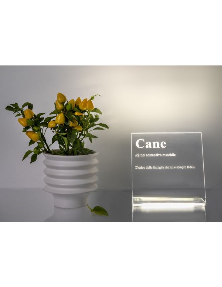 iPLEX Design - Lucilio Lampada Cane in plexiglass - Trasparente - 20x20x9 cm