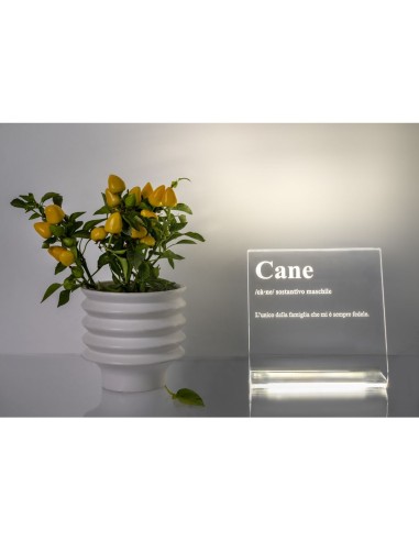 iPLEX Design - Lucilio Lampada Cane in plexiglass - Trasparente - 20x20x9 cm