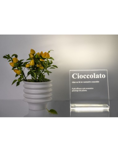 iPLEX Design - Lucilio Lampada Cioccolato in plexiglass - Trasparente - 20x20x9 cm