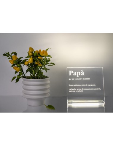 iPLEX Design - Lucilio Lampada Papa' in plexiglass - Trasparente - 20x20x9 cm