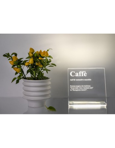 iPLEX Design - Lucilio Lampada Caffe' in plexiglass - Trasparente - 20x20x9 cm