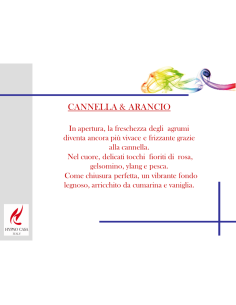 HYPNO CHIC - CANDELA 200 GR PROFUMATA CANNELLA & ARANCIO 2
