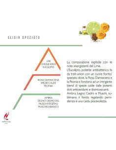 HYPNO - Essenze Naturali Diffusore Spray essenza naturale 100 ml Elisir speziato 2