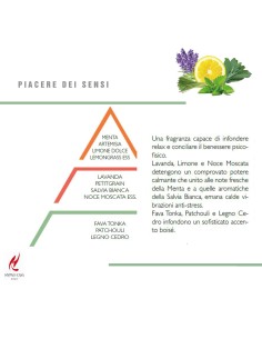 HYPNO - Essenze Naturali Diffusore a bastoncino 250 ml essenza naturale Piacere dei sensi 2