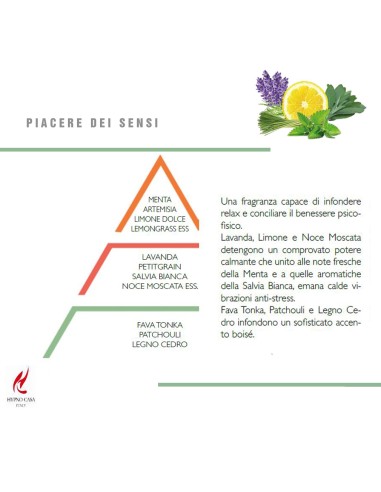 HYPNO - Essenze Naturali Diffusore a bastoncino 250 ml essenza naturale Piacere dei sensi