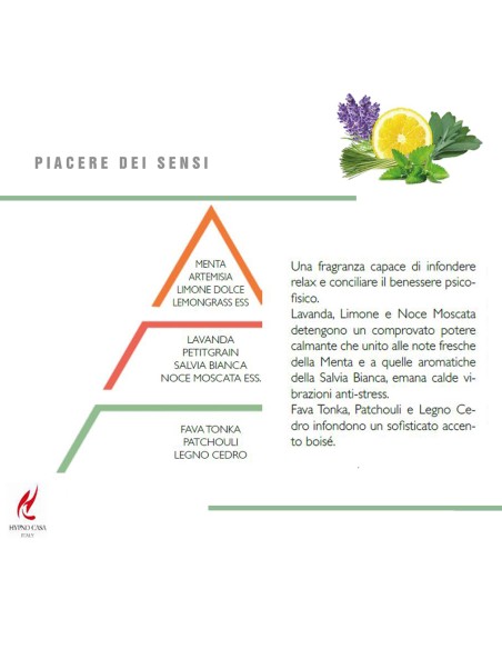HYPNO - Essenze Naturali Diffusore a bastoncino 250 ml essenza naturale Piacere dei sensi