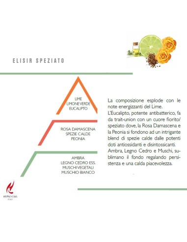 HYPNO - Essenze Naturali Diffusore a bastoncino 250 ml essenza naturale Elisir speziato