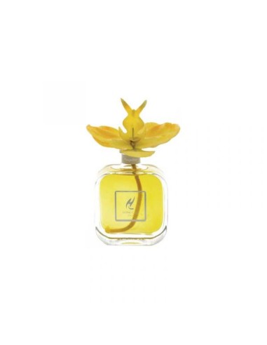 DIFFUSORE CON ORCHIDEA 100 ml HYPNO CHIC POMPELMO