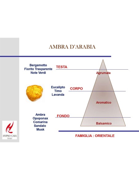 CANDELA 140 GR PROFUMATA HYPNO CHIC AMBRA D'ARABIA