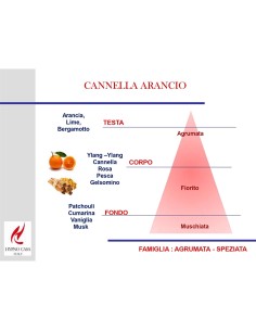 CANDELA 140 GR PROFUMATA HYPNO CHIC CANNELLA & ARANCIO 2