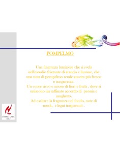 CANDELA 140 GR PROFUMATA HYPNO CHIC POMPELMO 2