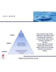 DIFFUSORE SPRAY PER TESSUTI 250ML BLU WASH 2