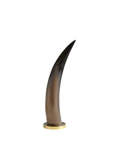 Blanc D' Ivoire - Corno DANELE PM 10x36 cm