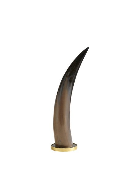 Blanc D' Ivoire - Corno DANELE PM 10x36 cm