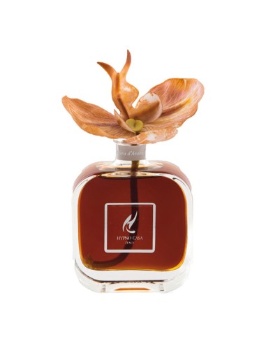 DIFFUSORE CON ORCHIDEA 100 ml HYPNO CHIC AMBRA D’ARABIA