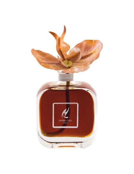 DIFFUSORE CON ORCHIDEA 100 ml HYPNO CHIC AMBRA D’ARABIA