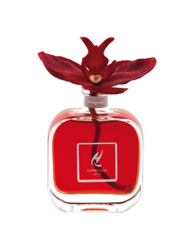 DIFFUSORE CON ORCHIDEA 100 ml HYPNO CHIC MELOGRANO
