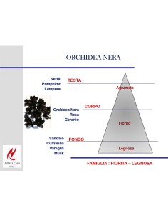 DIFFUSORE CON ORCHIDEA 100 ml HYPNO CHIC ORCHIDEA NERA 2