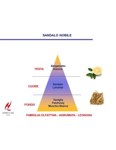 DIFFUSORE CON ORCHIDEA 100 ml HYPNO CHIC SANDALO NOBILE 2