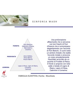 DIFFUSORE SPRAY PER TESSUTI 250ML SINFONIA WASH 2