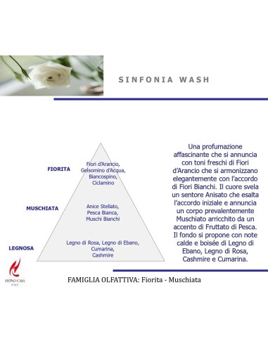 DIFFUSORE SPRAY PER TESSUTI 250ML SINFONIA WASH
