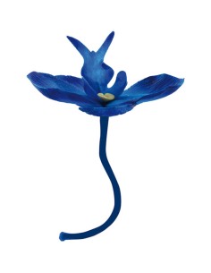 ORCHIDEA COLORE BLU
