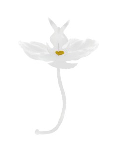 ORCHIDEA COLORE BIANCO