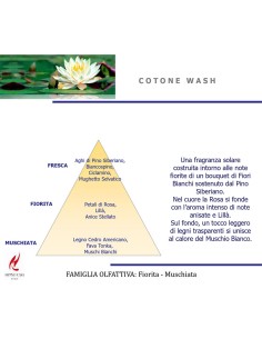 PROFUMO LAVATRICE COTONE WASH 2