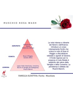 PROFUMO LAVATRICE MONODOSE  MUSCHIO ROSA WASH 2